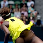 Pic of Venus Williams - nude and sex celebrity toons at Sinful Comics 