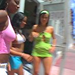 Pic of Ass Parade - Hot babes with giant round booties! 