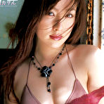 Pic of Flower @ AllGravure.com