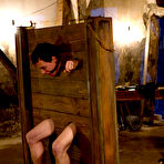 Pic of Divine Bitches - femdom on BDSMBook.com