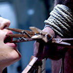 Pic of Divine Bitches - femdom on BDSMBook.com