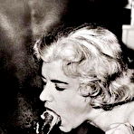 Pic of Retro Porn Archive