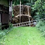 Pic of Extreme bullwhipped all over