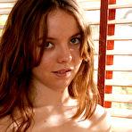 Pic of Little Mutt Free Gallery & Video