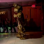 Pic of Dancing Bear, sex party, bachelorette parties gone wild, party hardcore