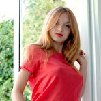 Pic of Red Fox In A White Summer Dress