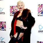 Pic of Lady Gaga posing in leather lingeries