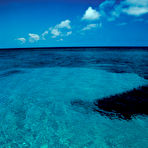 Pic of Exclusive Actiongirls Brunette Mercenaries Photos Actiongirls.com