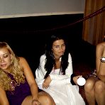 Pic of Dancing Bear, sex party, bachelorette parties gone wild, party hardcore