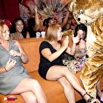 Pic of Dancing Bear, sex party, bachelorette parties gone wild, party hardcore