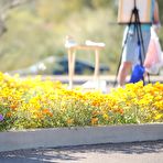 Pic of Вуайристка в летнем платье >> порно фото на ШпилиВили