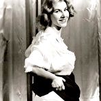 Pic of VintageFlash Archive: Free Sample Gallery