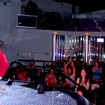 Pic of Dancing Bear, sex party, bachelorette parties gone wild, party hardcore