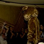 Pic of Dancing Bear, sex party, bachelorette parties gone wild, party hardcore