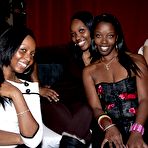 Pic of Dancing Bear, sex party, bachelorette parties gone wild, party hardcore