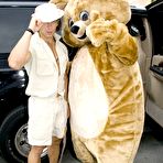 Pic of Dancing Bear, sex party, bachelorette parties gone wild, party hardcore