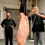 Pic of Whip trashing hanged headdown