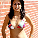 Pic of :: PantyHoneys.com ::
