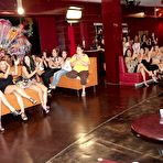 Pic of Dancing Bear, sex party, bachelorette parties gone wild, party hardcore