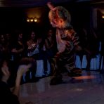 Pic of Dancing Bear, sex party, bachelorette parties gone wild, party hardcore