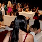 Pic of Dancing Bear, sex party, bachelorette parties gone wild, party hardcore