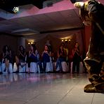 Pic of Dancing Bear, sex party, bachelorette parties gone wild, party hardcore