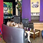 Pic of Dancing Bear, sex party, bachelorette parties gone wild, party hardcore