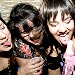 Pic of Dancing Bear, sex party, bachelorette parties gone wild, party hardcore