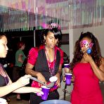 Pic of Dancing Bear, sex party, bachelorette parties gone wild, party hardcore