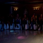 Pic of Dancing Bear, sex party, bachelorette parties gone wild, party hardcore