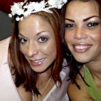 Pic of Dancing Bear, sex party, bachelorette parties gone wild, party hardcore