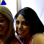 Pic of Dancing Bear, sex party, bachelorette parties gone wild, party hardcore