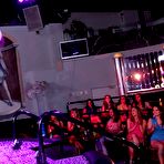 Pic of Dancing Bear, sex party, bachelorette parties gone wild, party hardcore