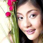 Pic of Mona Choi Has A Favorite Toy