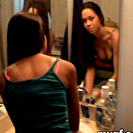 Pic of Submit Your Bitch Members Area