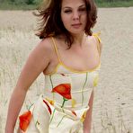 Pic of HairySexVideos :: Hairy Babes Fucked Hard In Movies!