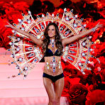 Pic of Alessandra Ambrosio Nude