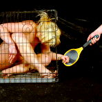 Pic of Crystels Electro Torture