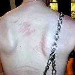 Pic of FREE TORTURE GALLERY