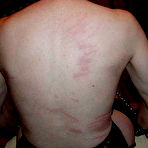 Pic of FREE TORTURE GALLERY