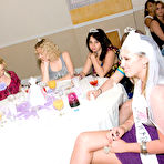 Pic of Tale of the Dancing Bear