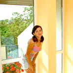 Pic of Teen Virgin Brunette Busty Tit