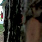 Pic of PUBLIC VIOLATIONS