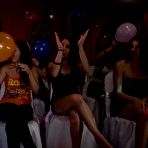 Pic of Dancing Bear, sex party, bachelorette parties gone wild, party hardcore