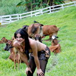 Pic of Seductive shemale has tattoo on nice ass