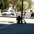 Pic of PUBLIC VIOLATIONS