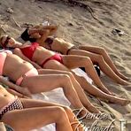 Pic of Denise Richards naked photos. Free nude celebrities.