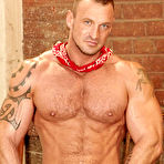 Pic of COLT Studio Group pictures
