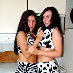 Pic of Amateur porn collection, free amateur xxx galleries