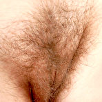 Pic of Hairy pussy amateurs